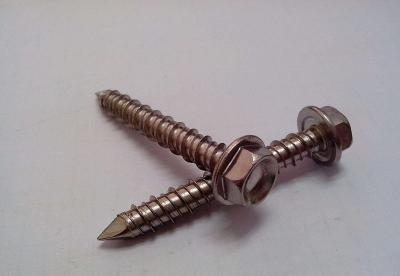 China Carbon Steel Fixings And Fasteners / Stainless Steel Self Drilling Screw for sale