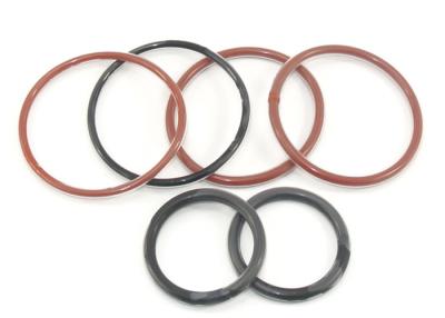 China AS568 PTFE PFA Encapsulated O Ring Seal High Temperature Resistance for sale