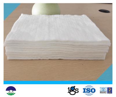 Chine Haut tissu non tissé 800G de haute résistance de géotextile de filament de perméabilité à vendre