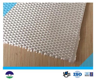 China PET Polyester Multifilament Woven Geotextile with high strength for sale