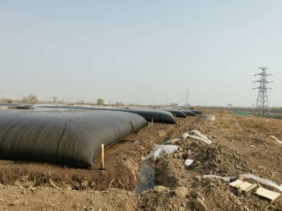 China High Strength Dehydrated Gt500 Pp Material Geotextile Tubes for sale