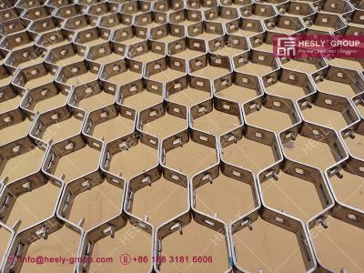 China AISI304 25X2.0X50mm Stainless Steel Hexmesh With Bonding Hole | China Supplier for sale