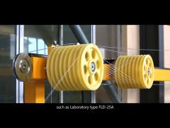 PEEK 3D Printer Filament Extruder Machine Laboratory Type Carbon Fiber
