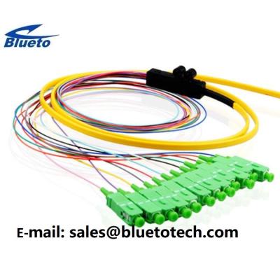 China 12Fiber Ribbon Fiber Pigtail SC/APC Fiber Optic Pigtail 12colors Ribbon Fan Out Kit 0.9mm for sale