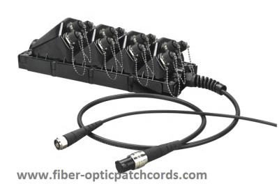 China Torneira portuária ODVA de OptiTap H do porto 12 de fibra ótica impermeáveis da caixa terminal 8 do cerco FTTA de FTTX à venda