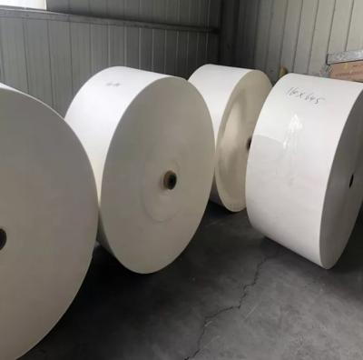 China OEM 190gsm 260gsm PE Coated Cup Stock Paper In Roll Sheet for sale