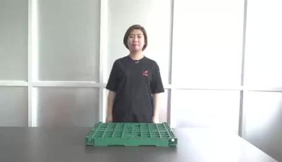 China Escaninho de armazenamento personalizado fábrica da caixa do recipiente plástico para frutas e legumes à venda