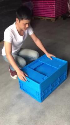 China 600x400x175 de kleine vouwbare plastic opvouwbare bakken van opslagdozen Te koop