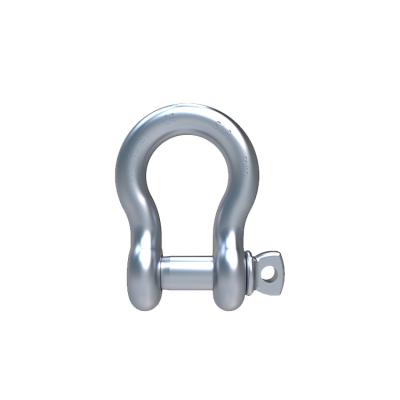 China SLR958-S6 SCREW TYPE ANCHOR SHACKLE for sale