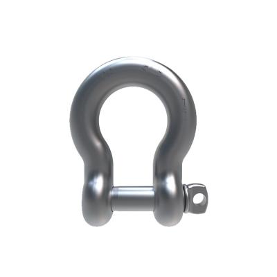 China SLR364-HIGH STRENGTH SCREW PIN BOW SHACKLE for sale