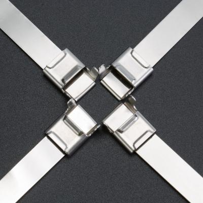 China SS304 Wing Seal Clips Banding Metal Clasp Buckle 1/4 Inch width for sale