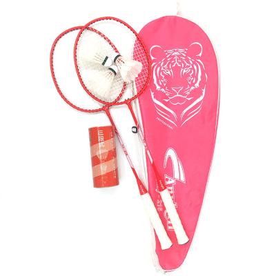 China Beginner Badminton Racket Set Indoor Outdoor Badminton Bat Set for sale