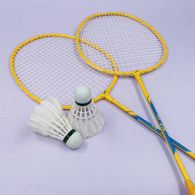 Chine La raquette de badminton durable place la raquette en acier jaune verte de formation de badminton à vendre