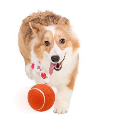 China Custom Rubber Tank Padel Tennis Ball For Pets Polyester Material for sale