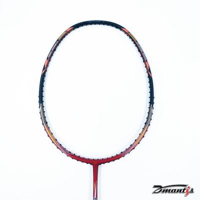 China Professional Full Carbon Badminton Racket 100% Carbon Dmantis Brand Badminton Rackets à venda