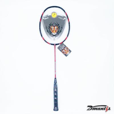Chine Play Badminton Pre-Strung Racke 2 Pack Graphite Badminton Racquet, Professional Carbon Fiber Badminton à vendre