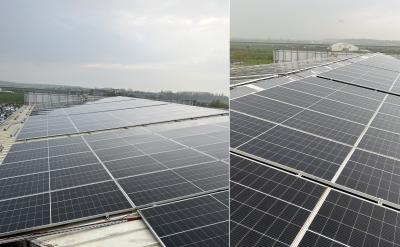 China Haus auf Gitter-Sonnensystem Kit Inverter 30kw für Handelswohn zu verkaufen