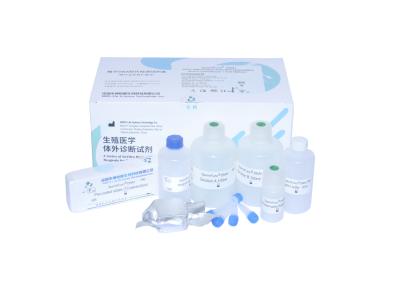 Chine SCD Method Sperm DNA Fragmentation Test Kit Excellent Staining Ready To Use Reagent Kits à vendre