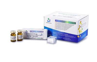 China Jogo para o ensaio obrigatório ácido Esperma-hialurónico    Teste Kit For Sperm Function Analysis à venda