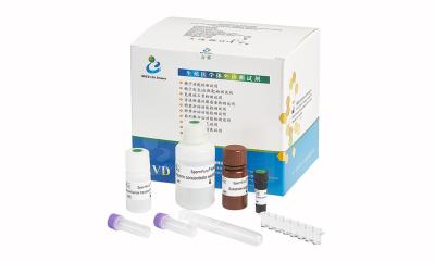 中国 精子のAcrosinの活動の量的なテストのためのSpermFuncのキット/固相BAPNA方法 販売のため
