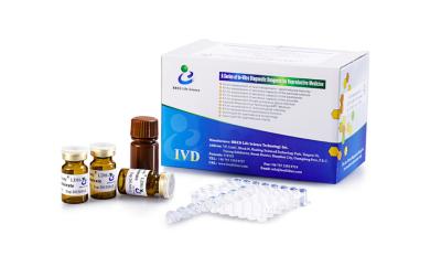 Cina Sperma del livello di LDH X Kit For Determination LDH-X in vendita