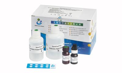 Chine Kit AMH CLIA Kit For Adult Females d'essai d'hormone de Mullerian d'analyse de sérum anti à vendre