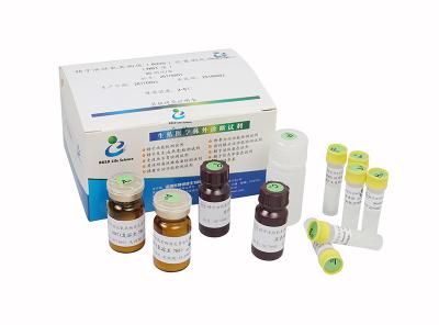Китай Мужской набор Ассай набора зрелости спермы теста неплодородности/РОС/реактивные виды кислорода Ассай набор продается
