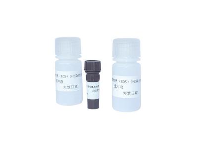 Chine Coloration DHE pour cytométrie en flux ROS, kit de coloration DHE pour espèces réactives à l'oxygène des spermatozoïdes à vendre