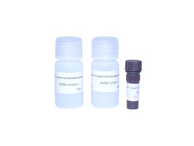 China Sperm Mitochondria Staining Kit High Accuracy Male Fertility Test Kit for sale