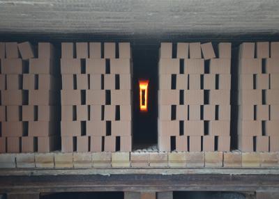 Κίνα Clay brick tunnel kiln and whole block brick making project technical design layout προς πώληση