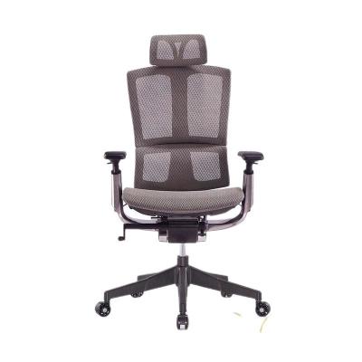 China Indoor High Back Mesh Ergonomic Office Chair 75*71*110cm Class 3 Gaslift for sale
