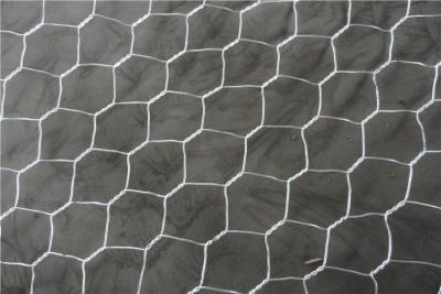 China 80X100Mm 2.0-4.0mm Wire Diameter Galvanized / PVC Coated Hexagonal Woven Gabion 4.0*1.0*1.0 for sale