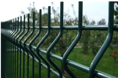 China Stainless 3D Welded Wire Fence Green Powder Coated Fencing for sale