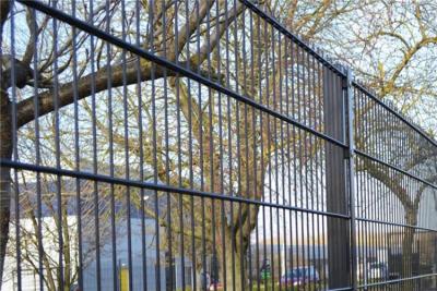 China Grey 868 656 Double Wire Welded Fence For 60mm*60mm Post for sale