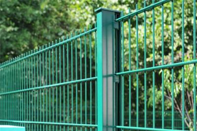 China Powder Coated 50x200mm Twin Wire Mesh Fence With Round Post for sale