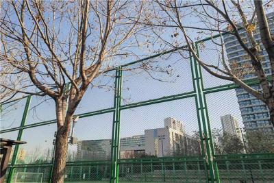 China 8FT Height Galvanized Iron Wire Mesh Metal Chain Link Fence With 50mm X 50mm Mesh Size à venda