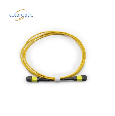 China MTP APC Female To Female Optical Cable 10/40G SM 3M PVC / LSZH Trunk Cable for sale