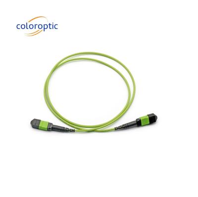 China Single Mode MTP Patch Cord MTP Connector G652D / G657A1 / G657A2 Fiber for sale