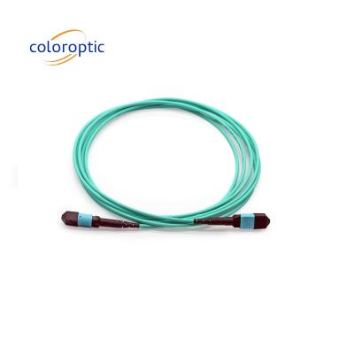 China MTP MTP Female To Female Fiber Optic Patch Cord OM3 100 / 400G PVC / LSZH for sale