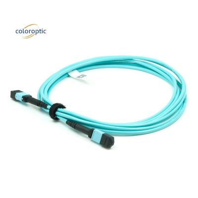 China Fibra G652D OM3 MPO Patch Cable 1m de comprimento para necessidades de negócios à venda