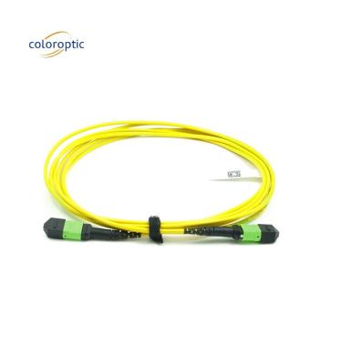 China Cordón de parche de modo único óptico pasivo MPO-12 / APC-A-MPO12 / APC en venta