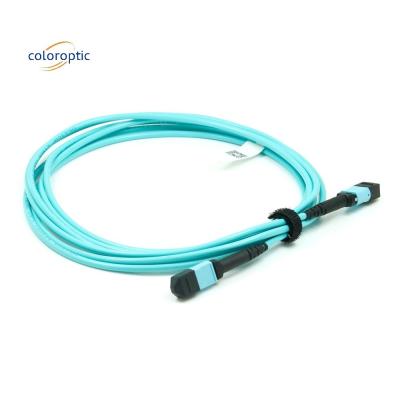 China Jacket Material Patch Cord Cable With MPO Connector For Telecommunication Networks for sale