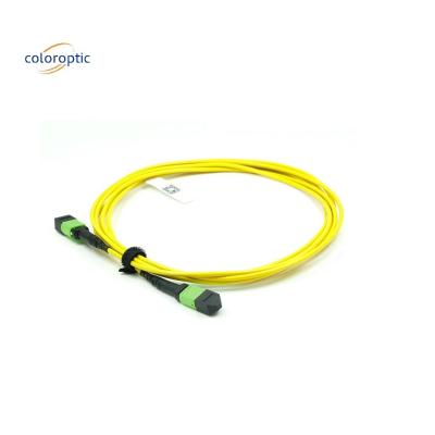 China OM3 MPO Patch Cord 12 Core Aqua Fiber Optic Connector For Efficient Networking for sale