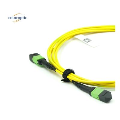 China Cable óptico MPO de modo único de fibra OM3 con chaqueta de PVC en venta