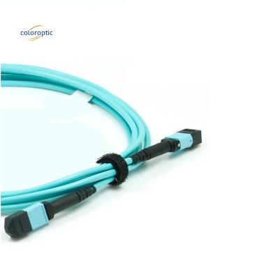 China Optical MPO Patch Cord -4℃ - 85℃ Storage Temperature With Connector for sale