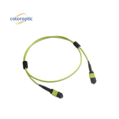China Multi fiber MPO Patch Cord PVC Jacket 12 Core OM5 Female To Female Connector PC Polishing for sale