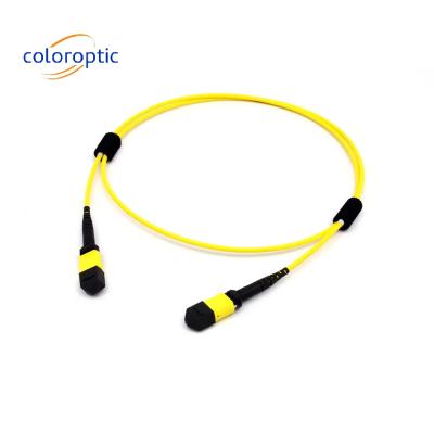 China Multi Mode fiber MTP MPO 16 FIBRE OM5 (50/125) PATCH CABLE for SR8 400G QSFP-DD and OSFP 400G SR8 PAM4 Te koop