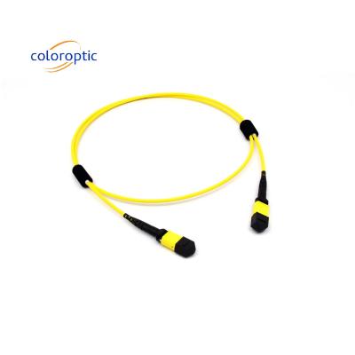 China Mtp(Mpo) Patch Cable Singlemode 12 Fibre Type B Female To Female Connector Pc Polishing Te koop