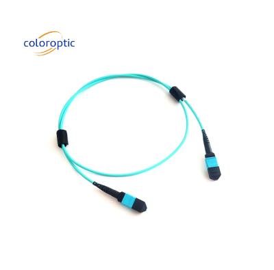 China MTP (MPO) 12 FIBRE PATCH CABLE OM3 (50/125) M400 Series US Conec for sale