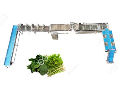 中国 CE Certified Stainless Steel Automatic Leafy Vegetable Washing Line Vegetable Processing Plant 販売のため